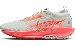 Nike Homme Pegasus Trail 5 Gore-TEX Sneaker, Light Silver Hyper Crimson LT Wild Mango, 42.5 EU