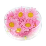 Widmann 23982 23982 Lot de 20 marguerites en boîte plastique fleurs fleurs fête estivale décoration de table fête à thème mixte adulte rose