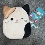 Super Cute Squishmallows Plush Pencil Case Cam The Cat Brand New ❤️