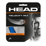 HEAD Velocity MLT Ensemble de Cordes de Tennis Unisexe pour Adulte, Adulte - Mixte, 281404-15LBL, Bleu, 15L