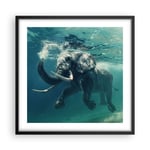 Affiche Poster 50x50cm Tableaux Image Photo éléphant animal eau Wall Art