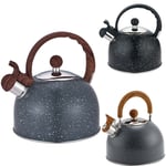 For Gas Stove Whistling Kettle Teapot for Trips Teakettle Water Kettle