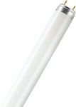 Osram Lumilux Lysrör T8, 58 W/830, 1500 mm