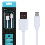 Cable usb Iphone 5S cable apple 1M 2A cable iphone ipad