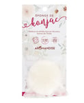 Aromandise Konjac Sponge från Japan - vit