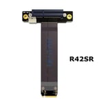 30cm R42SR Riser PCIe PCI-E x4 à M.2 NGFF NVMe Key M key-M Riser Card pci-express 4x Gen3.0 32G/bps câble ruban d'extension