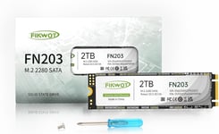 Fn203 2To M.2 Sata Ssd-Slc Cache 3D Nand Tlc Sata Iii 6Gb/S M.2 2280 Ngff Disque Ssd Interne,Jusqu'À 550Mo/S,Compatible Avec Ultrabooks,Tablettes Et Mini Pcs