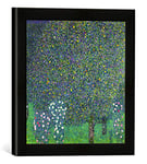 Kunst für Alle 'Encadré Image de Gustav Klimt Roses Under The Trees, c.1905 Impression d'art dans Le Cadre de Main de qualité Photos, 30 x 30 cm, Noir Mat