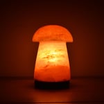 Himalayan Pink Salt Vass Lamp 2-3kg 100% Authentic Rock Salt Lamp UK Plug Gift