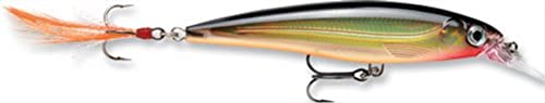 Rapala X-Rap Jerkbait 06 Leurre de pêche (Or, Taille 2,5)