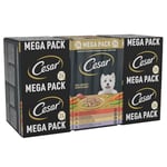 Cesar Adult Wet Dog Food Trays Country Stew, 24 x 150 g (pack of 3)