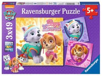 Ravensburger - Puzzle Enfant - Lot de 3 puzzles 49 pièces - Charmantes chiennes / Pat'Patrouille - Fille ou garçon dès 5 ans - Puzzle de qualité supérieure - 3 posters inclus - Fun & Aventure - 08008