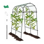 Arche de Jardin en Métal pour Différentes Plantes Grimpantes et Vignes, Arche Treillis Revêtu pe pour Jardin, Patio et Fête, Pergola de