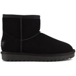 Bottines Colors of California  Ugg boot in suede