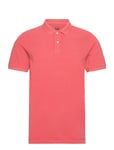 Garment Dye Polo Pink Lee Jeans