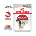 Royal Canin Instinctive Jelly - 12x85 g