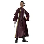 Star Wars The Black Series Padme Amidala Action Figure (15 cm) (US IMPORT)