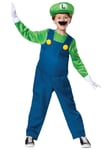 Luigi Deluxe Super Mario Cartoon Video Game Child Boys Costume