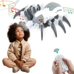 Kids RC Spider Robot Realistic LED Light Music & Spray Remote Control Tarantula