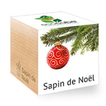 Feel Green Ecocube Sapin de Noël (Épicéa), Idée Cadeau (100% Ecologique), Grow-Your-Own/Kit Prêt-à-Pousser, Plantes Dans Des Cubes En Bois 7.5cm, Produit En Autriche