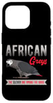 iPhone 16 Pro African Greys The Clever One Among The Birds Parrot Bird Case