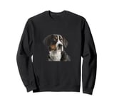 My big love is a big Swiss Mountain Dog Sweatshirt