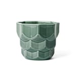 Dottir - Samsurium Flowerpot Spruce - Small