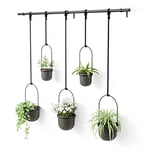 Umbra Triflora Ensemble de 5 pots suspendus, Ajustable Jardinière d'intérieure Suspendue avec Rails, Noir