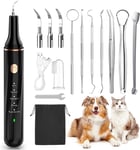 Petbank Dog Plaque Remover for Teeth with LED Light - Dog Tooth Cleaning Kit 12