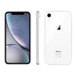 Apple Iphone Xr 64go Blanc Reconditionne Grade eco