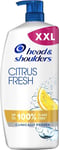 Head & Shoulders Citrus Fresh Anti Dandruff Shampoo For Greasy Hair, 1000ml,....