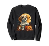 Mummy Beagle Pumpkin Scary Halloween Dog Lovers Costume Sweatshirt