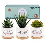 Best Friend Ever Succulent Pot Gift,Friendship Gifts for Women, Unique Birthday Gift Ideas for BFF, Mom, Small Garden Pots (Best Mom Ever)