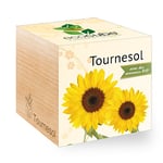 Feel Green Ecocube Tournesol Certifiées Bio, Idée Cadeau (100% Ecologique), Grow-Your--Own/Kit Prêt-à-Pousser, Plantes Dans Des Cubes En Bois 7.5cm, Produit En Autriche