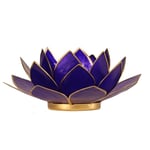 Lotus Atmospheric Light 6Th Chakra Indigo Gold Trim -- 13.5