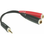 Klotz AYS-3 Y-Kabel minijack stereo Han - 2x Jack Hun Mono