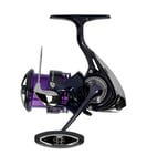 Daiwa Prorex X 24 LT 2500 5.3:1