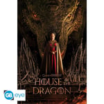 House Of The Dragon (Game Of Thrones) Plakat