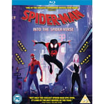 Spider-Man: Into The Spider-Verse