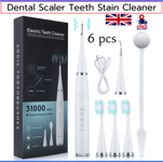 Electric Sonic Dental Scaler Tartar Plaque Calculus Remover Teeth Stains Cleaner