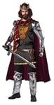 California Costumes 1234 King Arthur Medieval/Renaissance Adult-Sized Costume, Silver, Medium