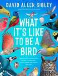 What It&#039;s Like to Be a Bird (Adapted for Young Readers)  From Flying to Nesting, Eating to SingingWhat Birds Are Doing and Why