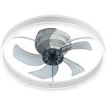 Lampe de plafond Ventilateur silencieux, Ventilateurs avec LED Lumiere et Télécommande, 6 vitesses et vent Réversible，LED dimmable, 3 Températures de