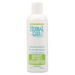 Dandruff & Dry Scalp Shampoo 8.5 Oz By Herbal Glo