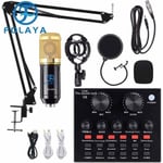 Kit Microphone condensateur V8 avec Carte Son Live BM-800 Bras de Suspension rglable