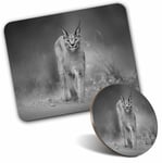 Mouse Mat & Coaster Set - BW - Caracal African Lynx Cat  #38978