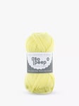 West Yorkshire Spinners Bo Peep Luxury Baby DK Yarn, 50g