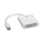 V7 Mini Displayport to DVI Adapter - White