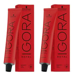 Schwarzkopf Igora Royal 9-98 Hair Color Set | Long-Lasting Vibrancy | Set of ...