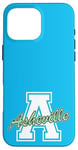 iPhone 16 Pro Max Retro Asheville Land of the Sky Case